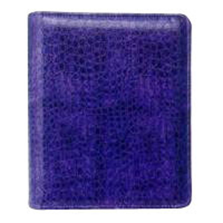 Pioneer FSM46 Mini Florenza Bound Photo Album, 4x6-24