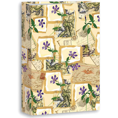 Pioneer Photo Album Classic 3 Ring Photo Album with Solid Color Covers, Holds 204 4x6" Photos, 3 Per Page, Color: Paris Postal.