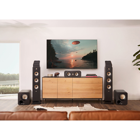 Polk Xt10 Polk Audio Signatue Elite ES8 8