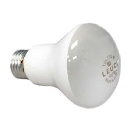 Profoto 100 watt / 120 Volt Tungsten Modeling Lamp for the AB, PAB, CP and CPP Flash Heads.