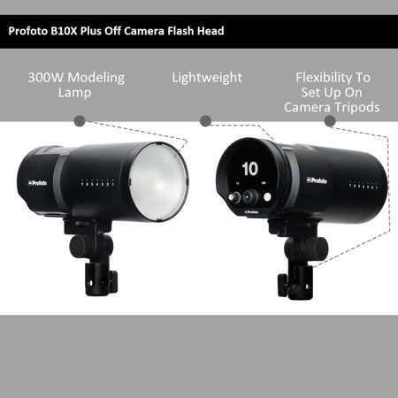 PP901193_100.jpg