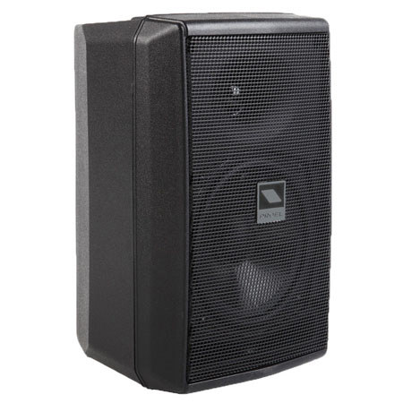 Proel FLASH5P Passive 2-way Vented Loudspeaker