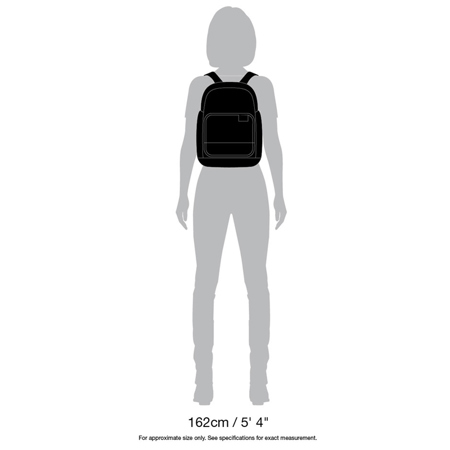 Pacsafe Citysafe LS300 Anti Theft Backpack for 11