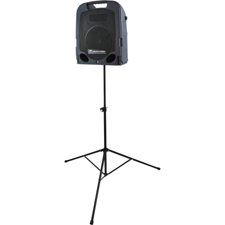 Peavey Escort 6000 600W Two-Way 10