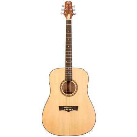 Peavey DW-1 Dreadnaught Acoustic Guitar with Bag