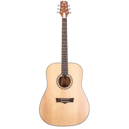 Peavey acoustic new arrivals