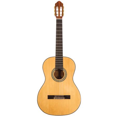 Peavey Delta Woods CNS-1 Classical Nylon String Acoustic Guitar