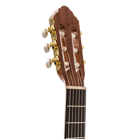 Peavey Delta Woods CNS-CE Classical Nylon String Acoustic Electric Guitar