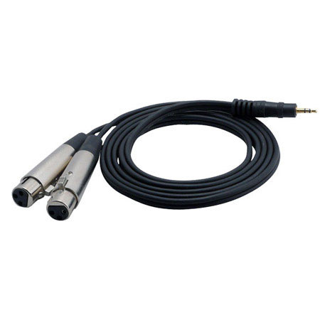 Pyle PCBL38FT6 6ft 12 Gauge 3.5mm Male to Dual XLR Female Cable