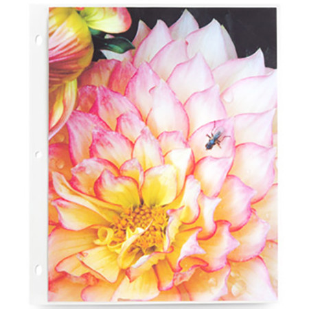 Pina Zangaro A3 Portrait Pro-Archive Sheet Protector, 10 Pack