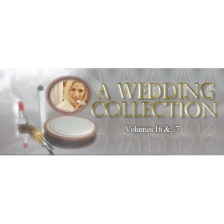 Rab-Byte Rab Byte Mini DV Pro Tape #16 Contains: backgrounds / titles for wedding: 1st half of day