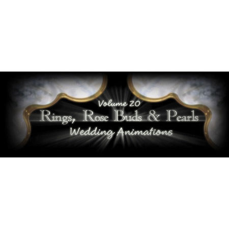 Rab Byte Mini DV Pro Tape #20 Contains: backgrounds / titles for wedding