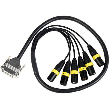 Remote Audio 3' Balanced 6-Ch Analog Breakout Cable, DB25M to (6) XLR3M