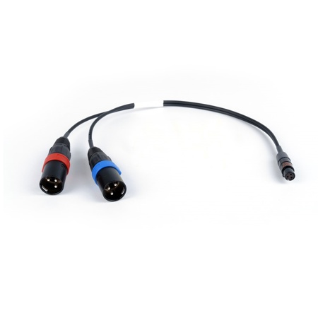 Remote Audio 12" Unbalanced Stereo Breakout Cable, TA3F to (2) XLR3M