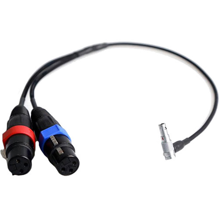Alexa shop audio input