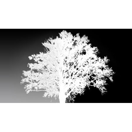 Red Giant Composite Wizard Upgrade V1.4.5, Video Editng