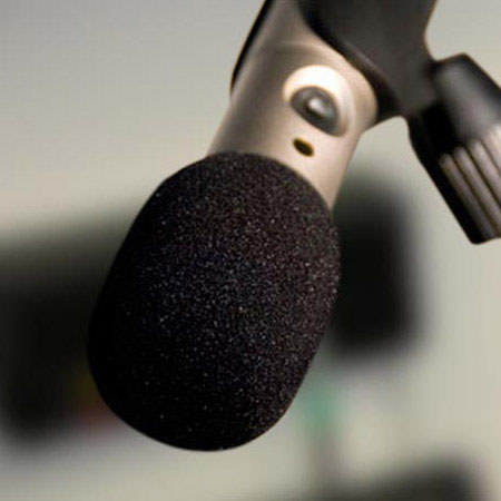 Rode WS3 Windshield for NT3 Microphone