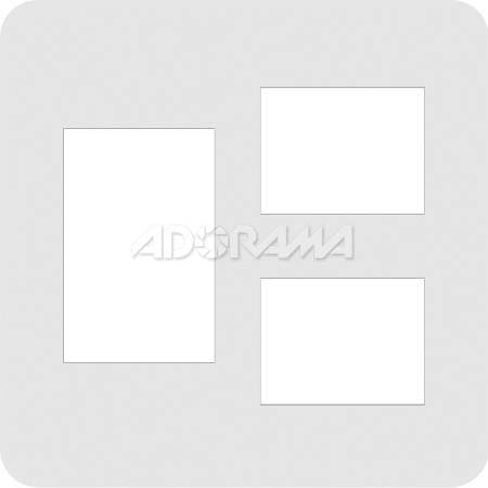 Renaissance Albums - Slip-In Mat, Large, Pearl with No Stamping, 1-5x7 and 2-5x4Rectangular Openings, 1 Mat