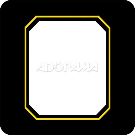 Renaissance Albums Slip-In Mat, Large, Black with Gold Stamping, 1-8x10 Octogonal Opening, 1 Mat