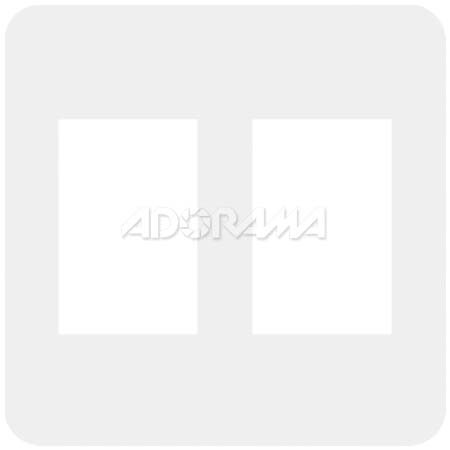 Renaissance Albums - Slip-In Mat, Large, Pearl with No Stamping, 2-5x7 Rectangular Openings, 1 Mat