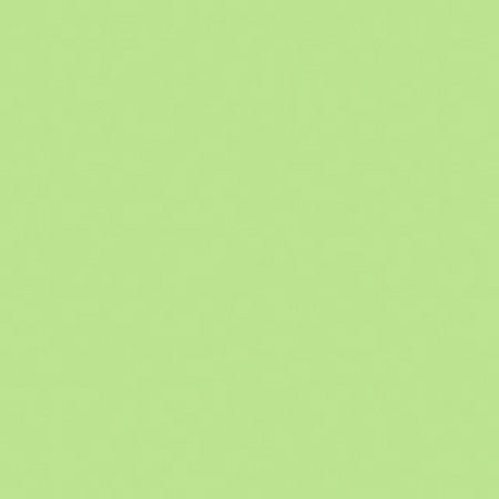 Rosco RS330412 Cegel Tough Plusgreen, 20x24 Correction