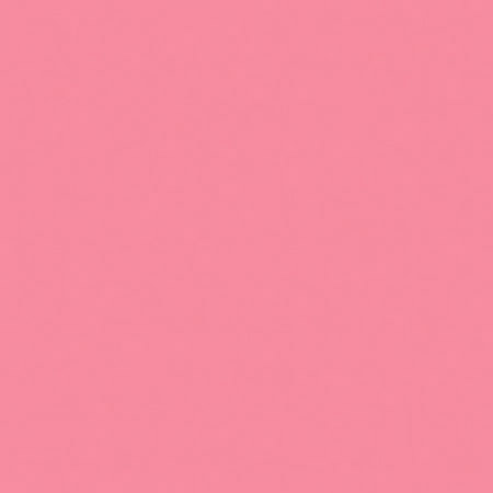 Rosco 34 Roscolux Flesh Pink, 20x24 Color Filter