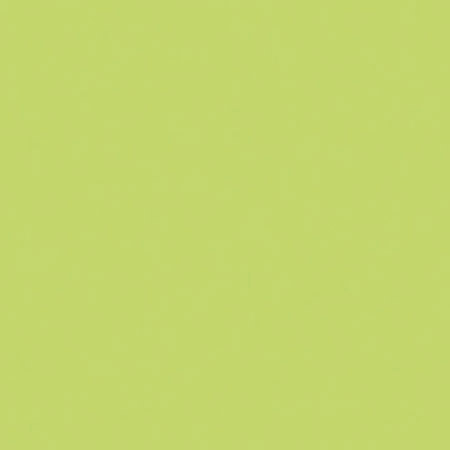 Rosco 388 Roscolux Gaslight Green, 20x24 Color Filter