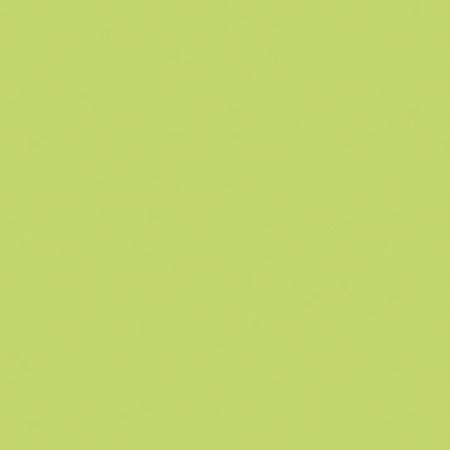 Rosco Roscolux #388 Lighting Gaslight Green Filter, 24"x25' Roll