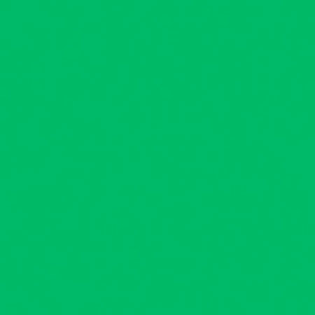 Rosco 389 Roscolux Chroma Green, 20x24 Color Filter 389 - Adorama