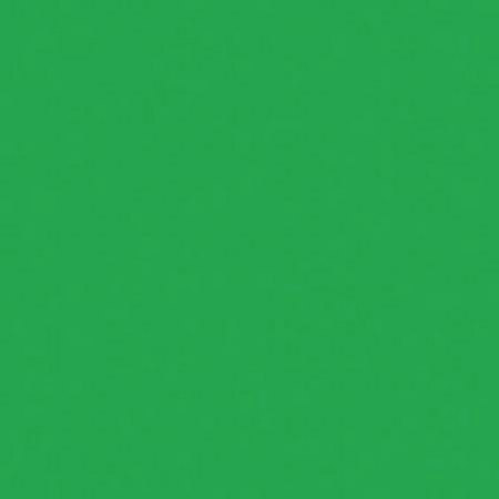 Rosco 89 Roscolux Moss Green,20x24 Color Effects Filter