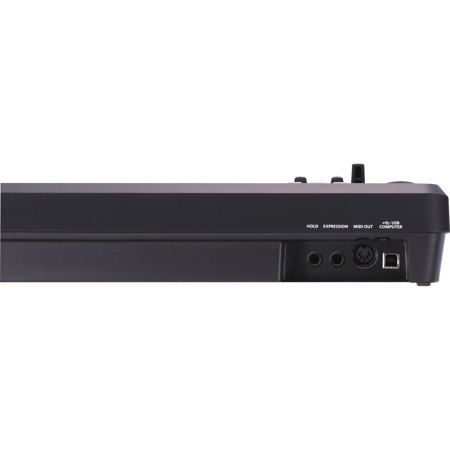 Roland A-49 MIDI Keyboard Controller, 49 Velocity Sensitive