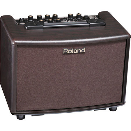 Roland AC-33 Battery-Powered Acoustic Chorus Guitar Amplifier, Rosewood