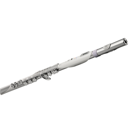Roland Aerophone Brisa Digital Wind Instrument AE-BRISA