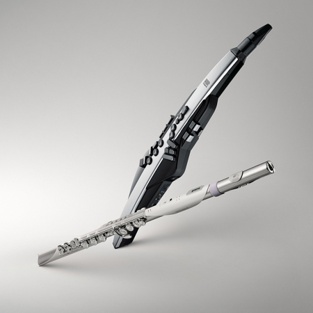 Roland Aerophone Brisa Digital Wind Instrument AE-BRISA
