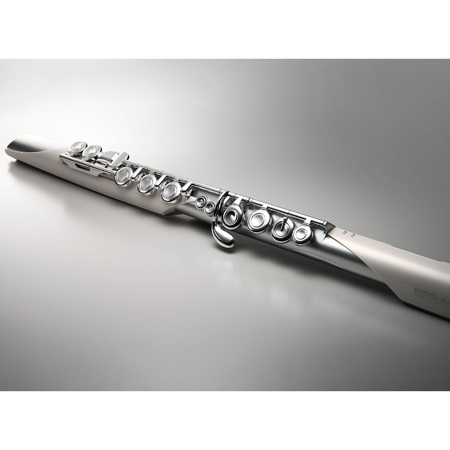 Roland Aerophone Brisa Digital Wind Instrument AE-BRISA