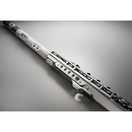 Roland Aerophone Brisa Digital Wind Instrument AE-BRISA