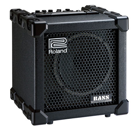 Roland 20W Bass Amplifier/Speaker