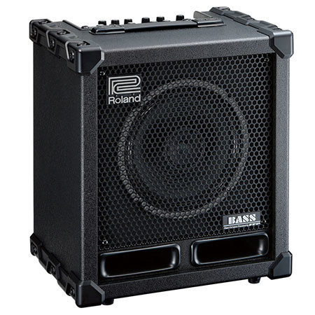 Roland 60W Bass Amplifier/Speaker with Looper