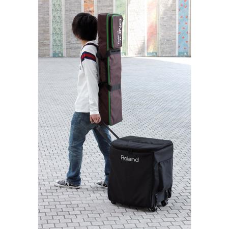 Roland Carrying Case for BA-330 Speaker System