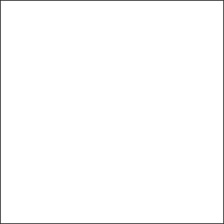 Rosco E Color 250 Half White Diffusion Roll 48 inx25 ft