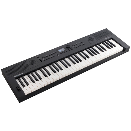 Used Roland GO KEYS 5 61 Key Music Creation Keyboard Graphite GOKEYS5 GT