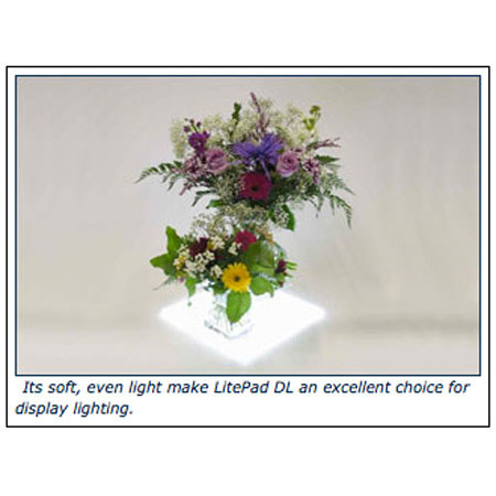 Rosco LitePad DL 6x12in LED Panel with Transformer