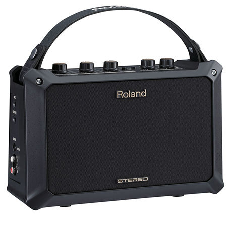 Roland Acoustic Chorus Portable Guitar Amplifier, 5W Rated Power Output, 2x 4" Speakers