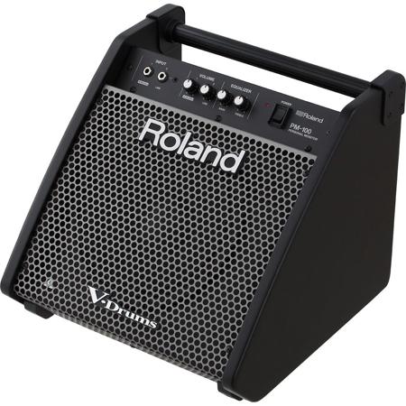 Roland PM-100 80W Personal Drum Monitor, 10" Woofer