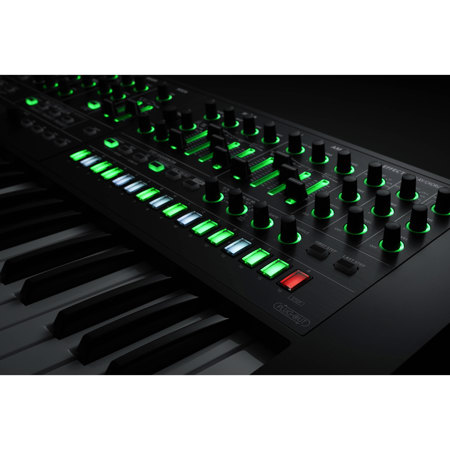 Roland System-8 49 Key Plug-Out Synthesizer