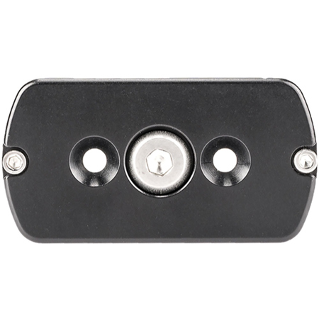 Really Right Stuff TH-DVTL-55 Round Dovetail Plate with 3/8" Mounting Screw