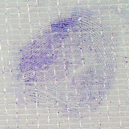Safariland Crystal Violet, 25g