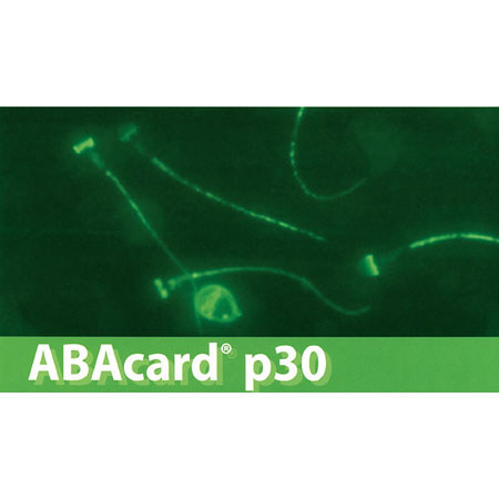Safariland ABAcard P30 Semen Test, 1 Test