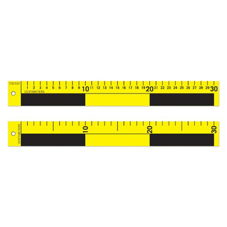 Safariland 30cm Scale, Pack of 5