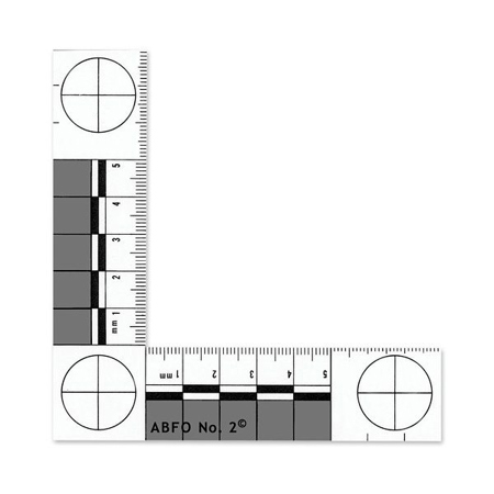 Safariland Inch L-shaped Scale